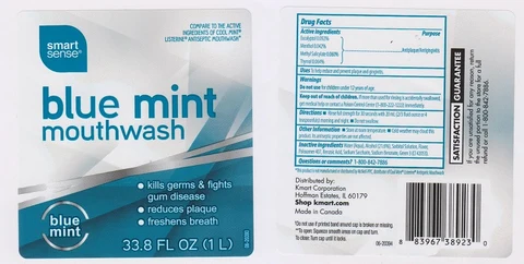 SMART SENSEBLUE MINT 포장