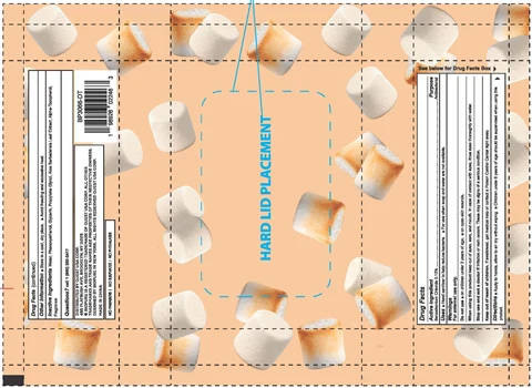 Biopure Antibacterial Hand Wipe 포장