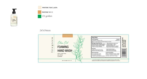 LIVEGREEN OLIVE ANTIBACTERIAL FOAMING HAND WASH packaging