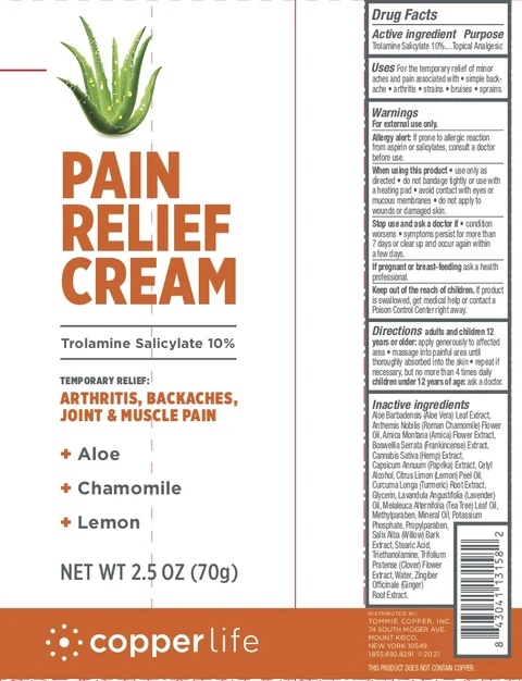 Copperlife Pain Relief 포장