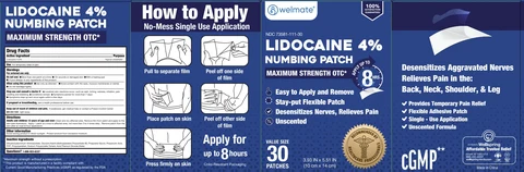 Welmate Lidocaine Pain Relieving Patch packaging
