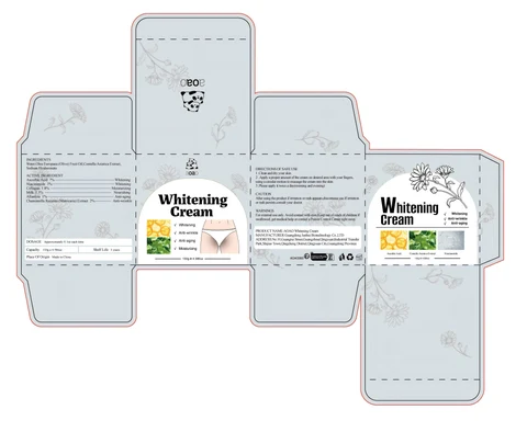 AOAO Whitening Cream 포장