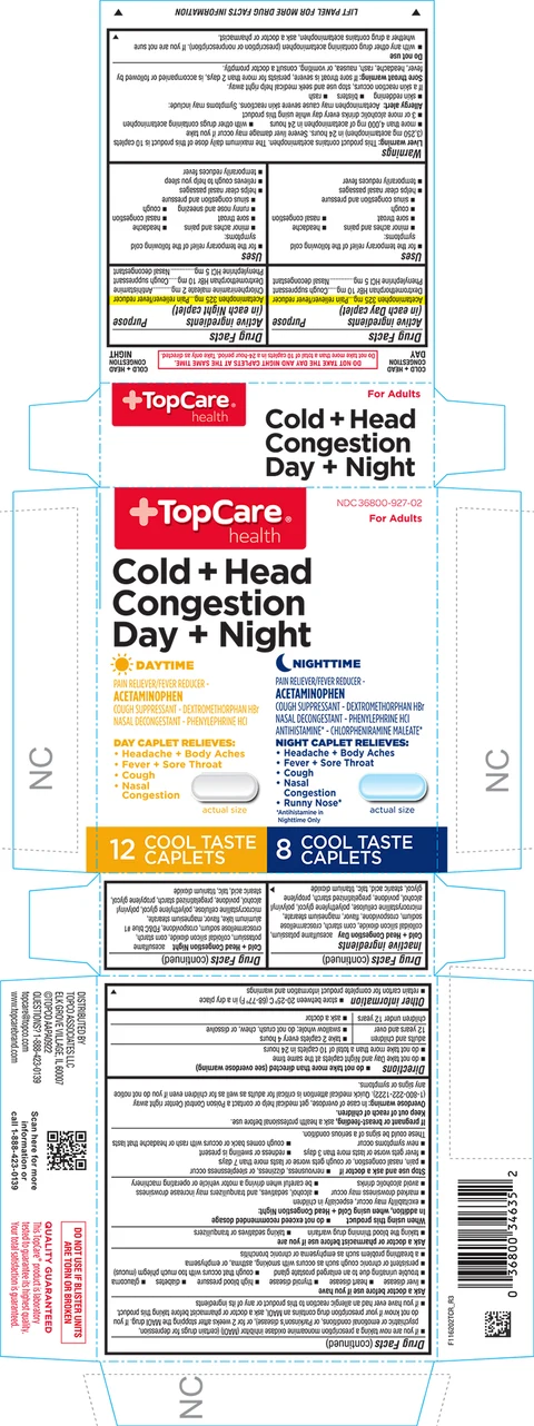 Cold Plus Head Congestion Day and Night 포장