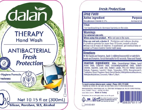 Dalan Therapy Antibacterial Hand Wash, Fresh Protection 포장