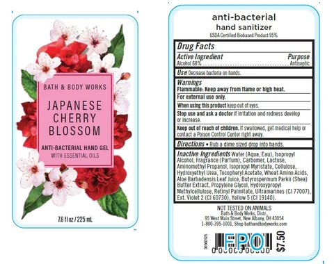 Anti-Bacterial Hand Japanese Cherry Blossom 포장