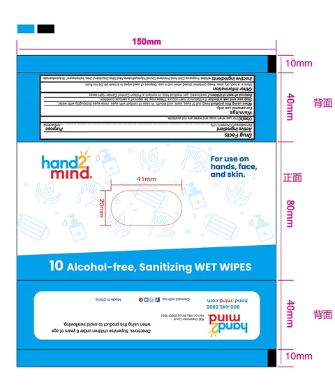 hand2mind Sanitizing Wet Wipes packaging