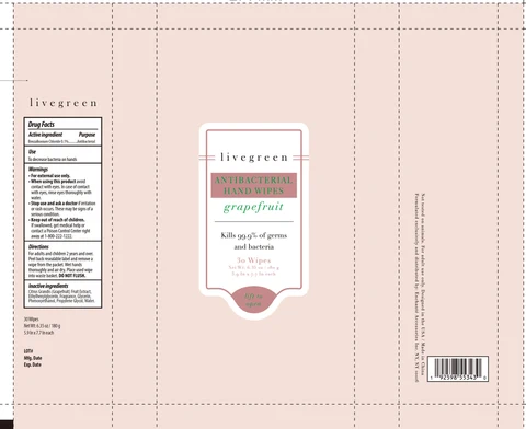 livegreen grapefruit ANTIBACTERIAL HAND WIPES 포장