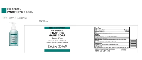 BODY PRESCRIPTIONS Sweet Pine INFUSED WITH VITAMIN E ANTIBACTERIAL FOAMING HAND 포장