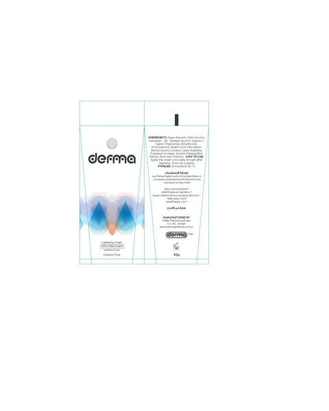Derma Lightening 포장