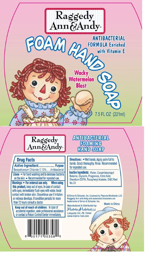 Raggedy Ann and Andy Foam Wacky Watermelon Blast 포장