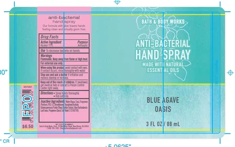 Anti-Bacterial HandBlue Agave Oasis 포장
