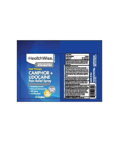 Camphor plus Lidocaine Pain Relief 포장