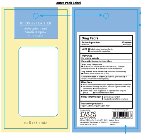 Antiseptic Hand SanitizerCitrus Scent 포장