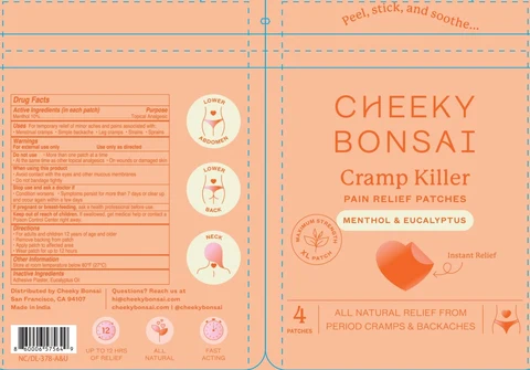 CHEEKY BONSAI Cramp Killer PAIN RELIEF PATCHES 포장