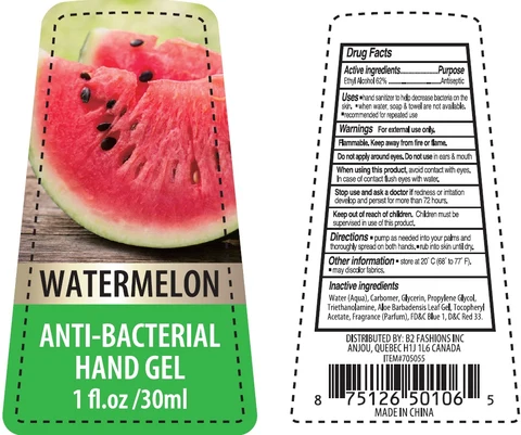 Watermelon Anti Bacterial Hand Sanitizer packaging