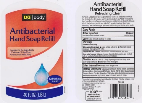 DG BODYREFRESHING CLEAN 포장