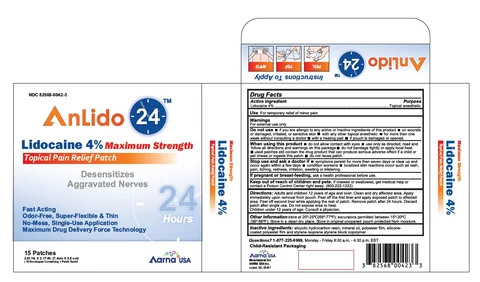 Lidocaine Patch packaging