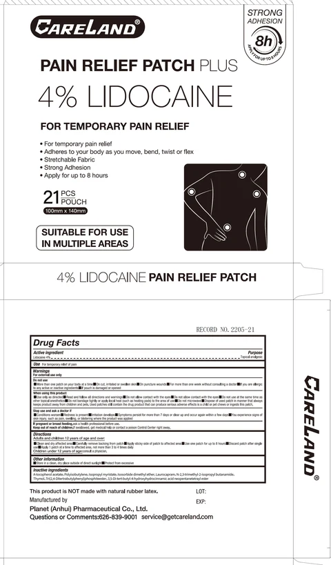 Careland Pain Relief Patch Plus 포장