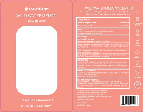 Touchland Power Mist Hand Sanitizer Wild Watermelon 포장