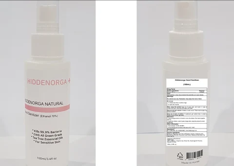 Hiddenorga Hand Sanitizer 포장