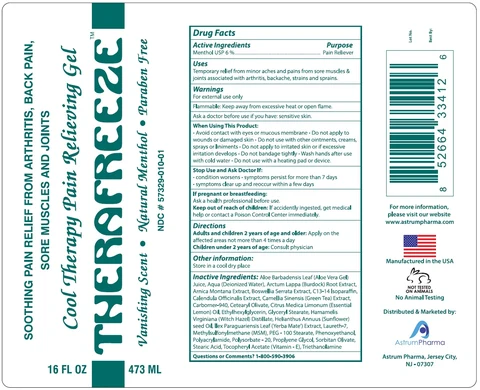THERAFREEZE 포장