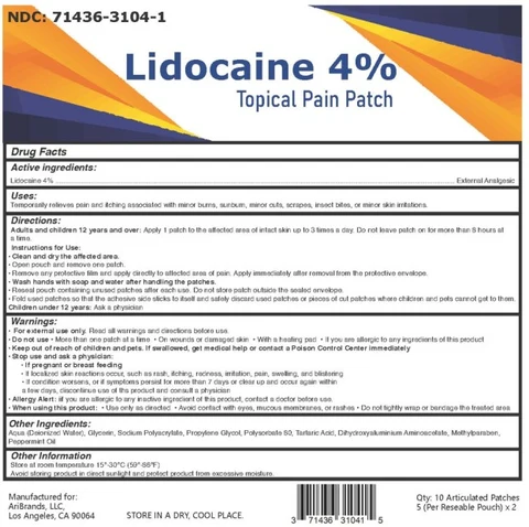 Lidocaine 4 Percent packaging