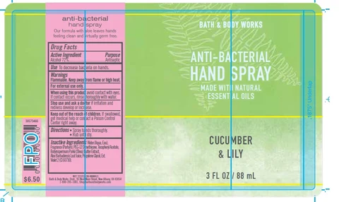 Anti-Bacterial HandCucumber Lily 포장