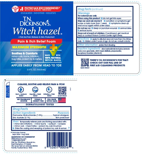 TN Dickinsons Pain and Itch Relief 포장