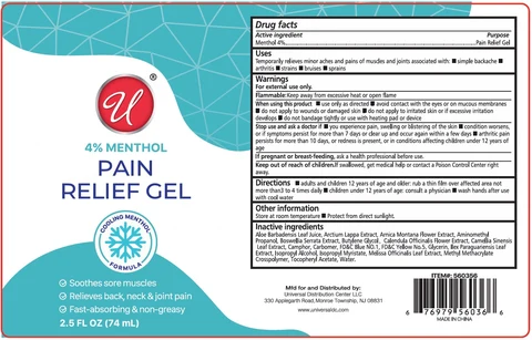 4% Menthol PAIN RELIEF 포장