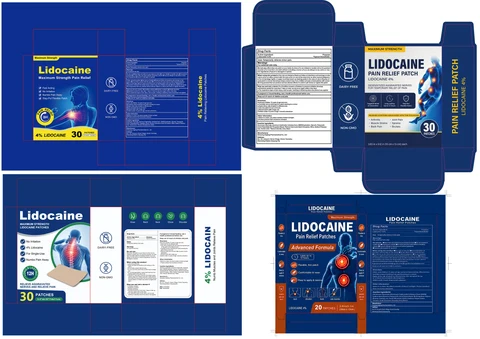 4% Lidocaine Pain Relief Patch 포장