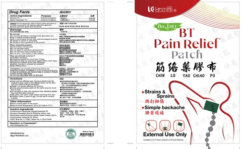 BT Pain Relief 포장