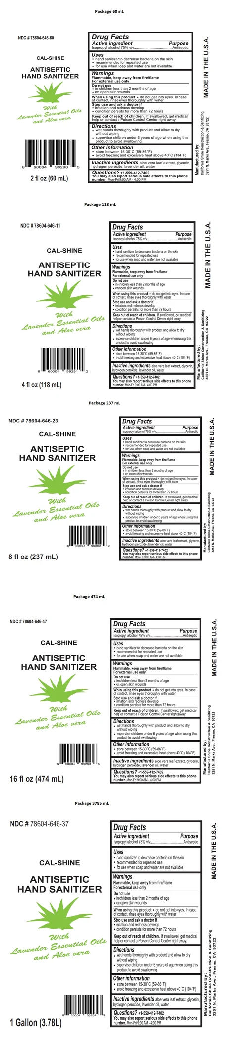 CAL-SHINE ANTISEPTIC HAND SANITIZER packaging