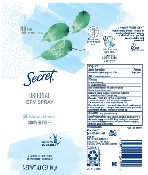 Secret Original Dry Shower Fresh 포장