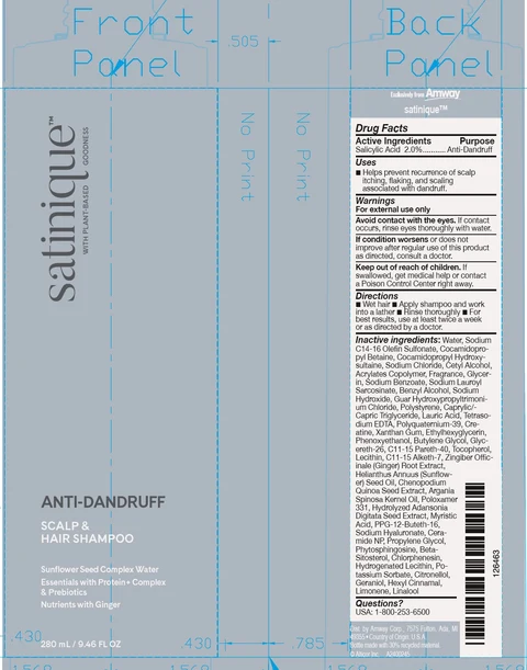 Satinique Anti Dandruff Scalp and Hair 포장