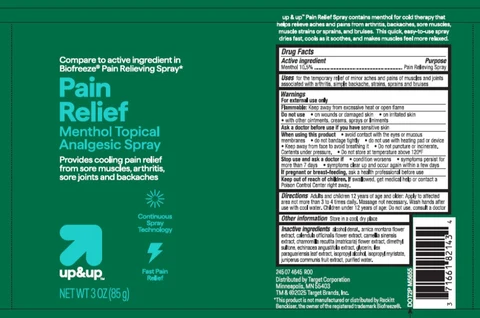Target Up and Up Pain Relief Menthol Topical Analgesic packaging
