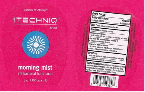 LE TECHNIQMORNING MIST ANTIBACTERIAL HAND packaging