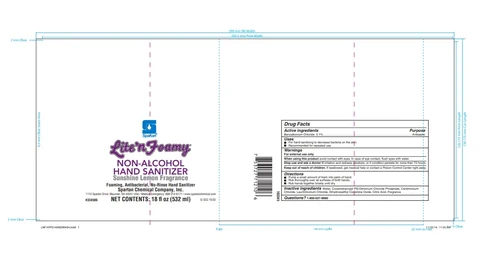 Lite n Foamy Non-Alcohol Hand Sanitizer packaging