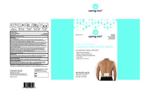 Caring Mills Relief Patch with Lidocaine 포장
