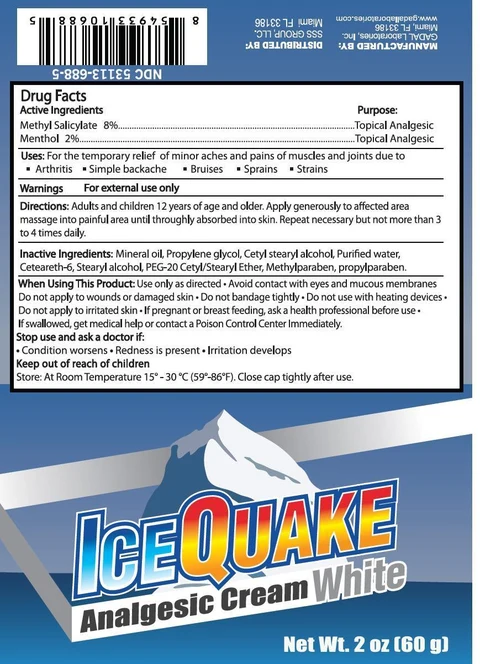 Ice QuakeWhite 포장