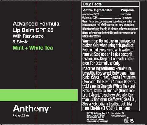 Advanced Formula Lip Balm SPF 25 포장