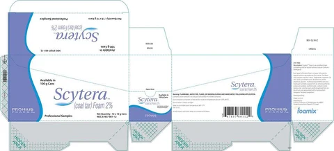 Scytera_Carton_12_01