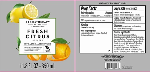 Antibacterial Hand Wash Fresh Citrus Scented 포장