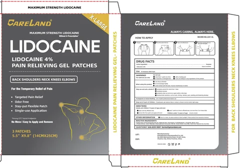 Careland X-large Lidocaine 4 Pain Relieving 포장