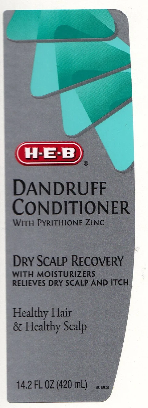 DANDRUFF CONDITIONER DRY SCALP RECOVERY 포장