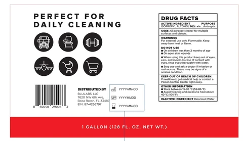 Isopropyl Alcohol Sanitizer