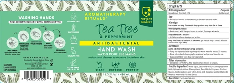Aromatherapy Rituals Hand Wash Tea Tree and Peppermint 포장