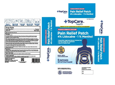 TopCare Pain Relief Patch packaging