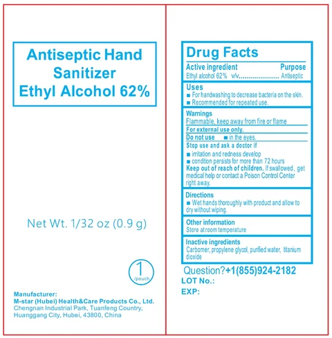 Antiseptic Hand Sanitizer Ethyl Alcohol 포장