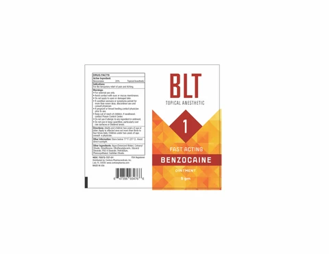 BLT 1 포장