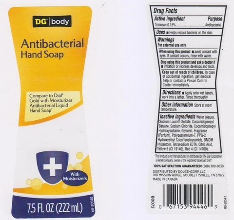 DG BODYANTIBACTERIAL HAND 포장